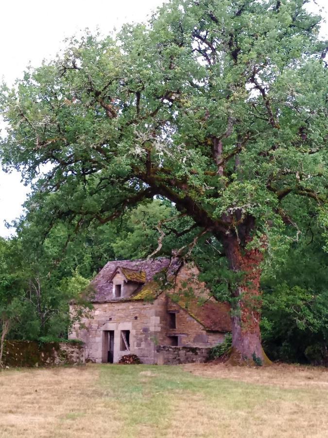 Les Granges De L Abbaye Ginals Exterior foto